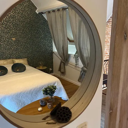Alter Ego - Sejour Bed & Breakfast Frasnes-lez-Anvaing
